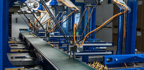 Brom Delta Robots Line With Bulb Flowers